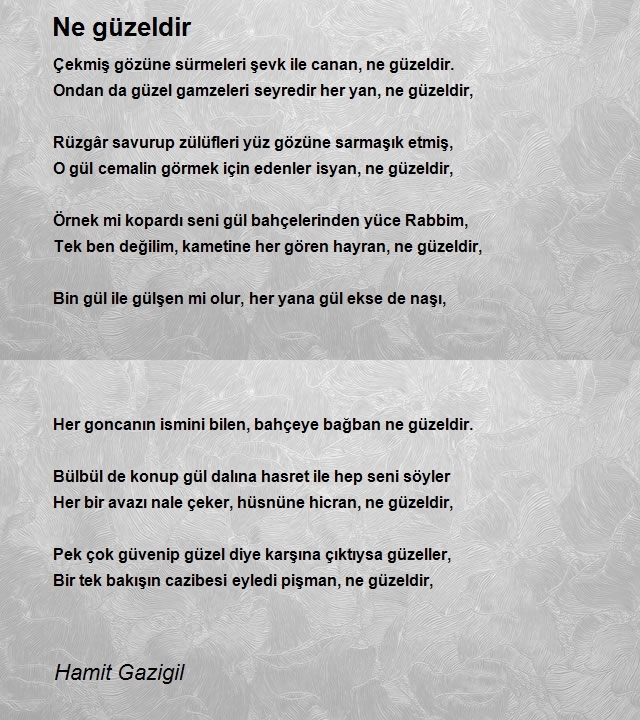 Hamit Gazigil