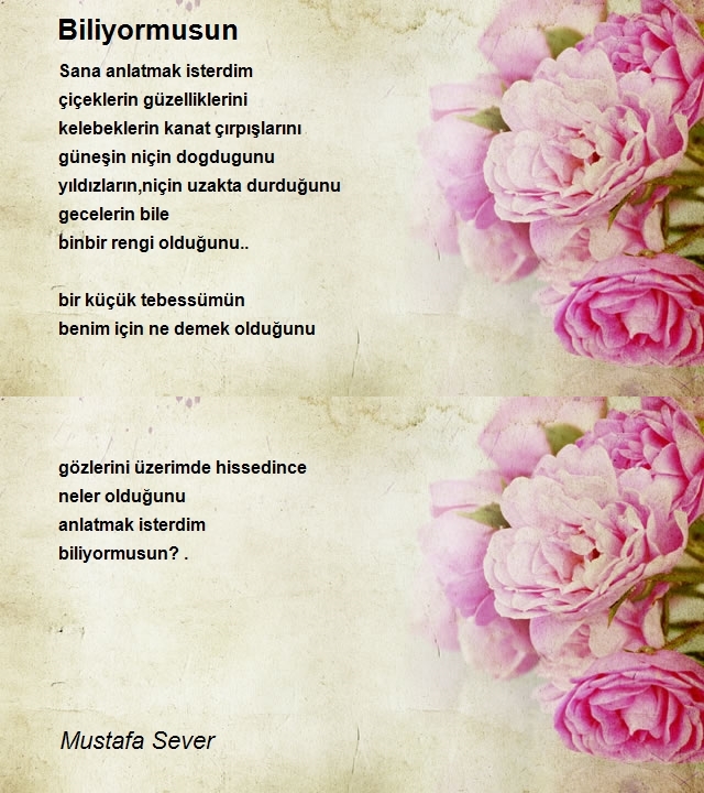 Mustafa Sever