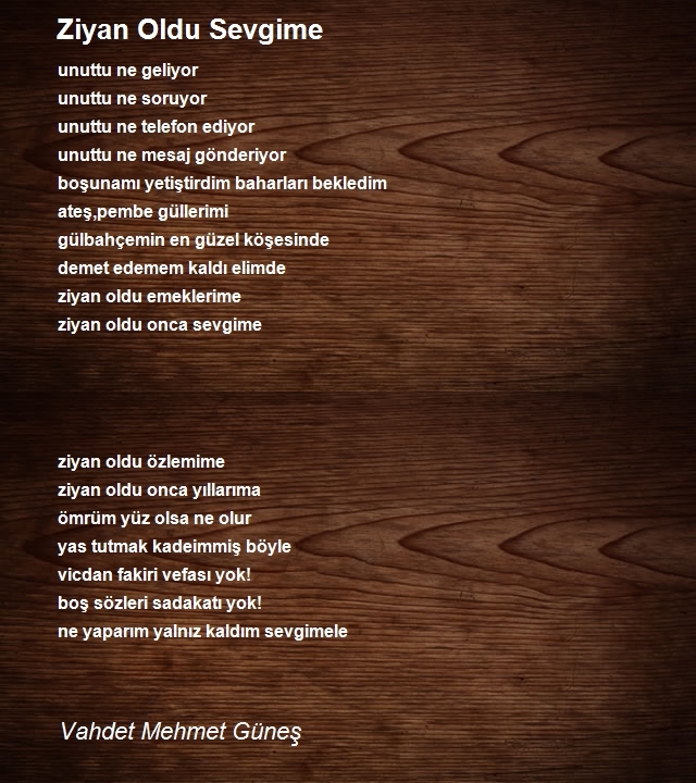 Vahdet Mehmet Güneş