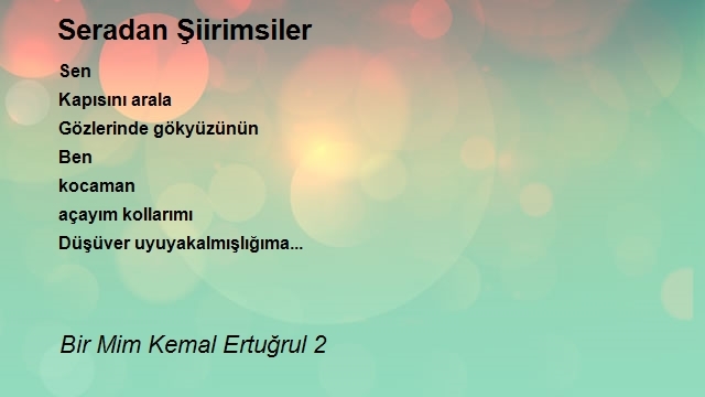 Bir Mim Kemal Ertuğrul 2