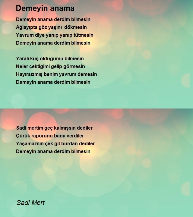 Sadi Mert