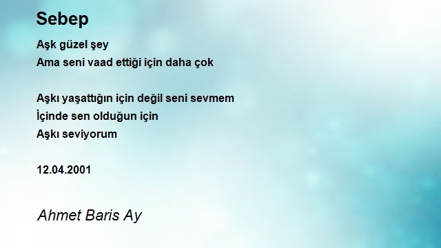 Ahmet Baris Ay