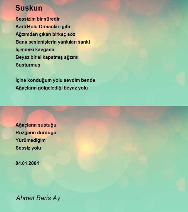 Ahmet Baris Ay