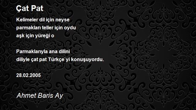 Ahmet Baris Ay