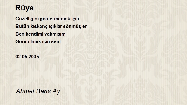 Ahmet Baris Ay