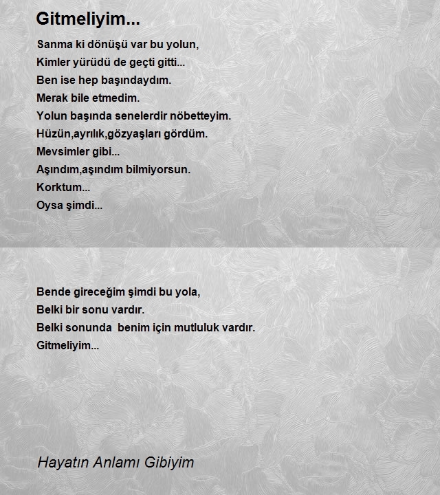 Hayatın Anlamı Gibiyim