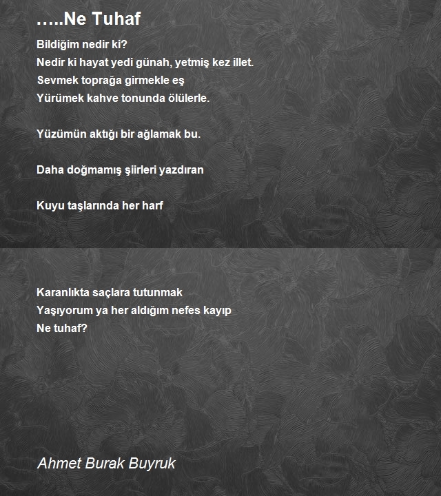 Ahmet Burak Buyruk