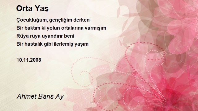 Ahmet Baris Ay