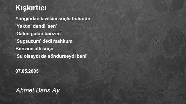 Ahmet Baris Ay