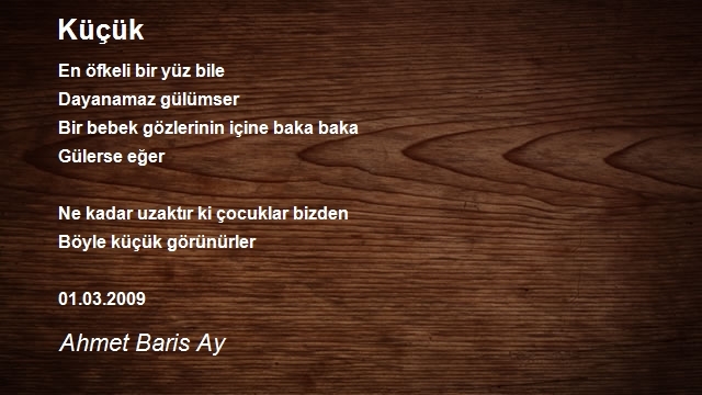 Ahmet Baris Ay