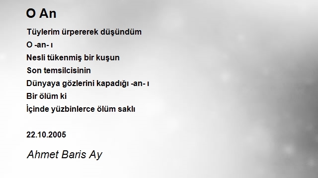 Ahmet Baris Ay