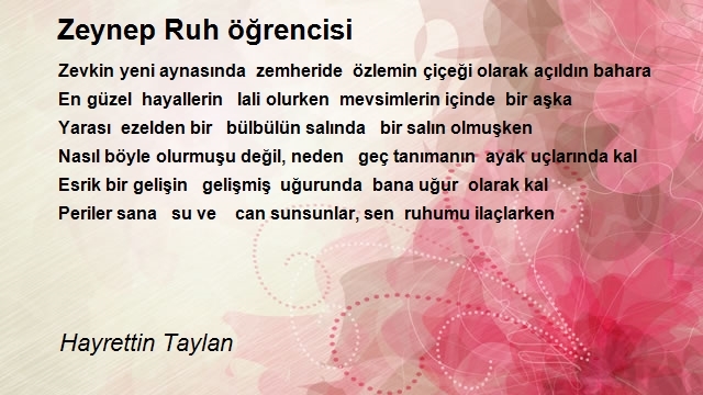 Hayrettin Taylan