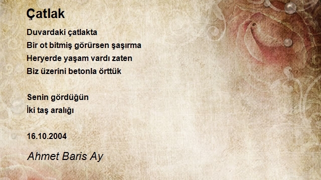 Ahmet Baris Ay