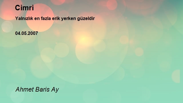 Ahmet Baris Ay