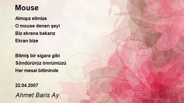 Ahmet Baris Ay