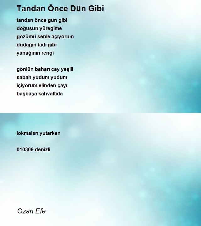 Ozan Efe