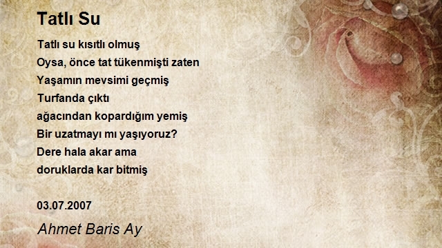 Ahmet Baris Ay