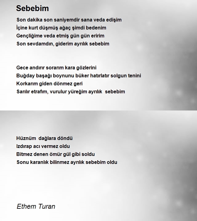 Ethem Turan