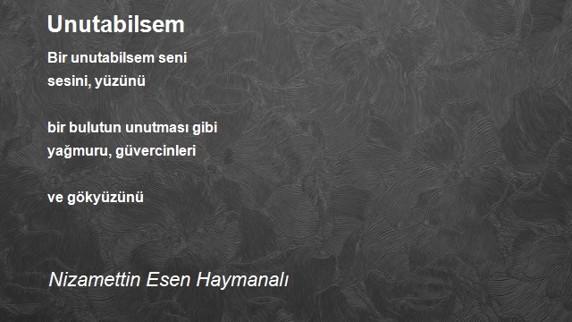 Nizamettin Esen Haymanalı