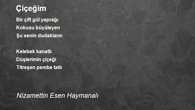 Nizamettin Esen Haymanalı