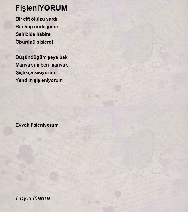 Feyzi Kanra