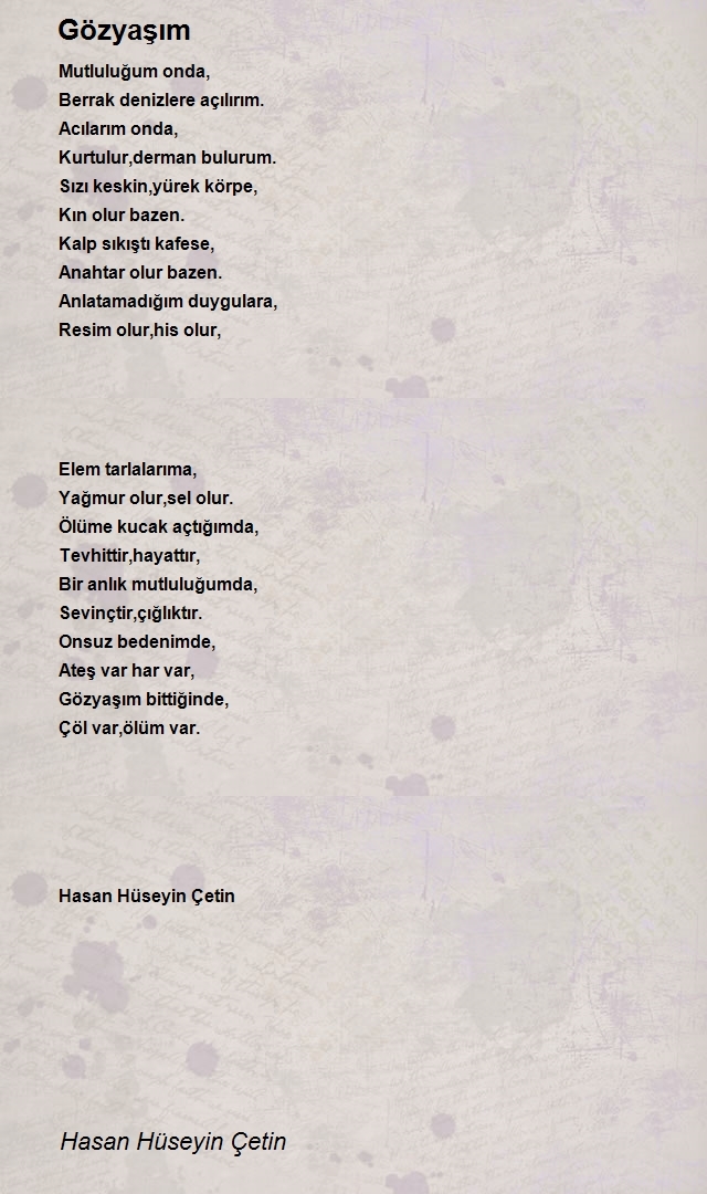 Hasan Hüseyin Çetin