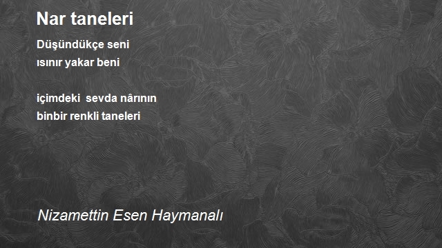 Nizamettin Esen Haymanalı