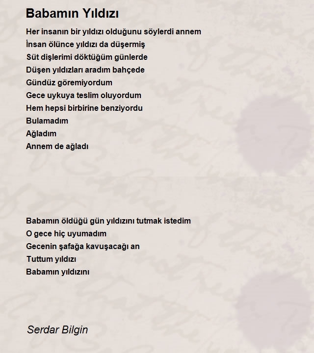 Serdar Bilgin