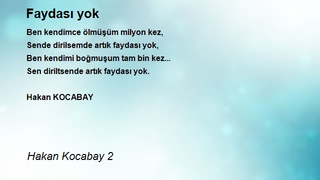 Hakan Kocabay 2