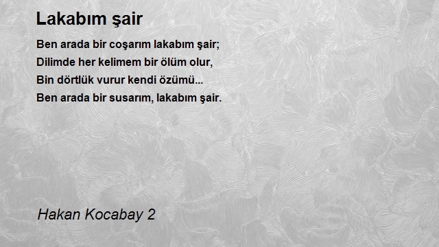 Hakan Kocabay 2