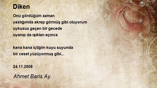 Ahmet Baris Ay