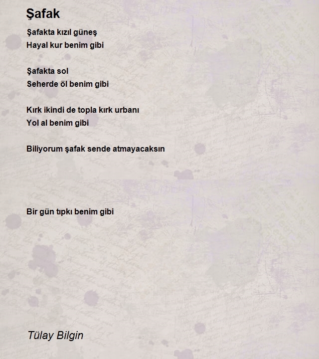 Tülay Bilgin