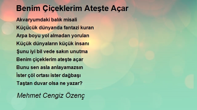 Mehmet Cengiz Özenç