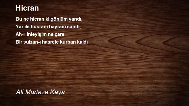 Ali Murtaza Kaya