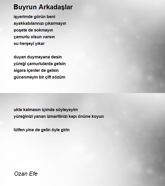 Ozan Efe