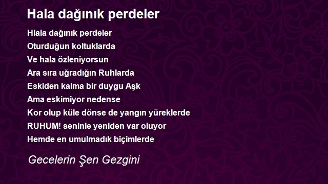 Gecelerin Şen Gezgini