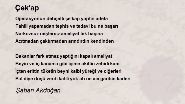 Şaban Akdoğan