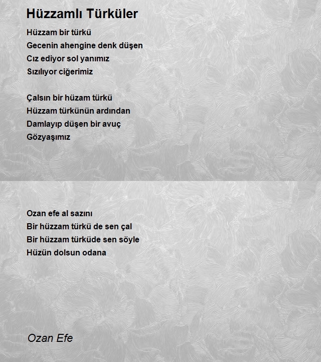 Ozan Efe