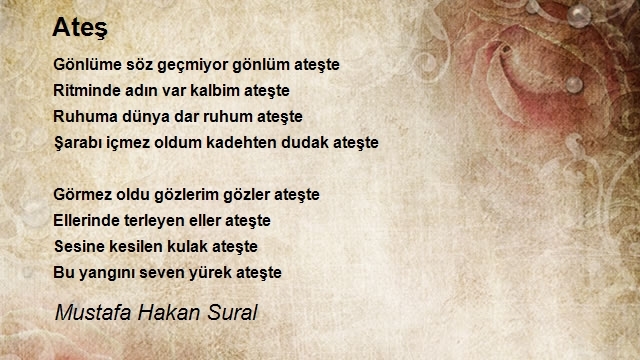 Mustafa Hakan Sural