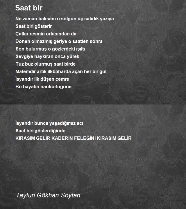 Tayfun Gökhan Soytan