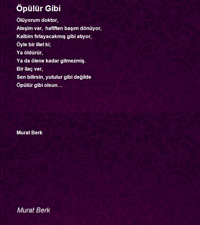 Murat Berk