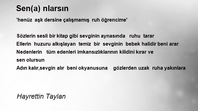 Hayrettin Taylan