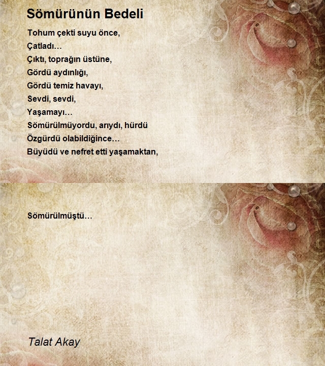 Talat Akay