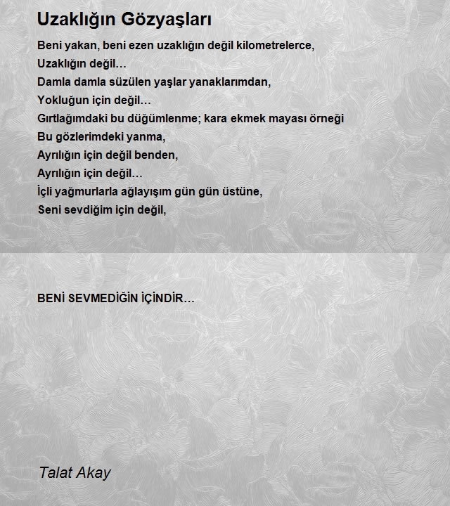 Talat Akay