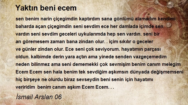 İsmail Arslan 06