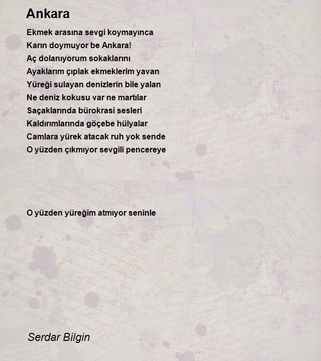 Serdar Bilgin