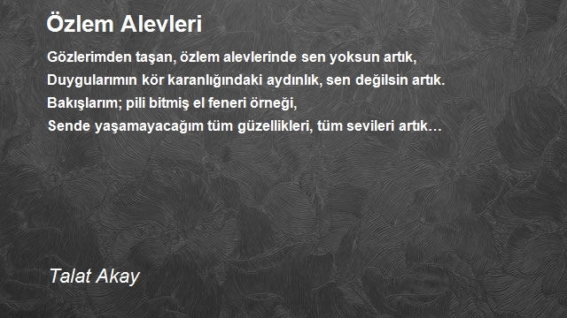 Talat Akay