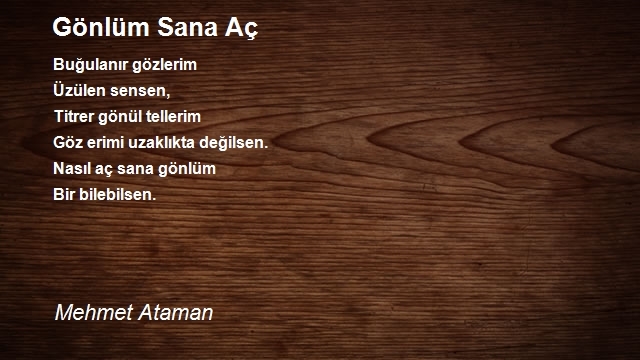 Mehmet Ataman