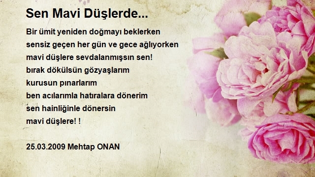 Mehtap Onan