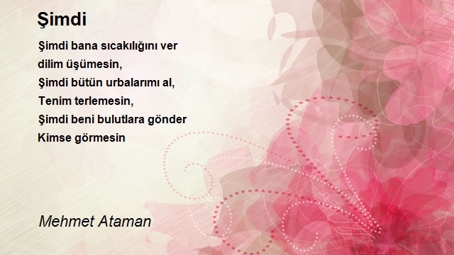 Mehmet Ataman